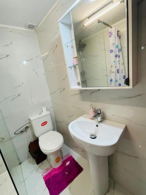 Lavender Luxury Apartment Oradea Ngoại thất bức ảnh